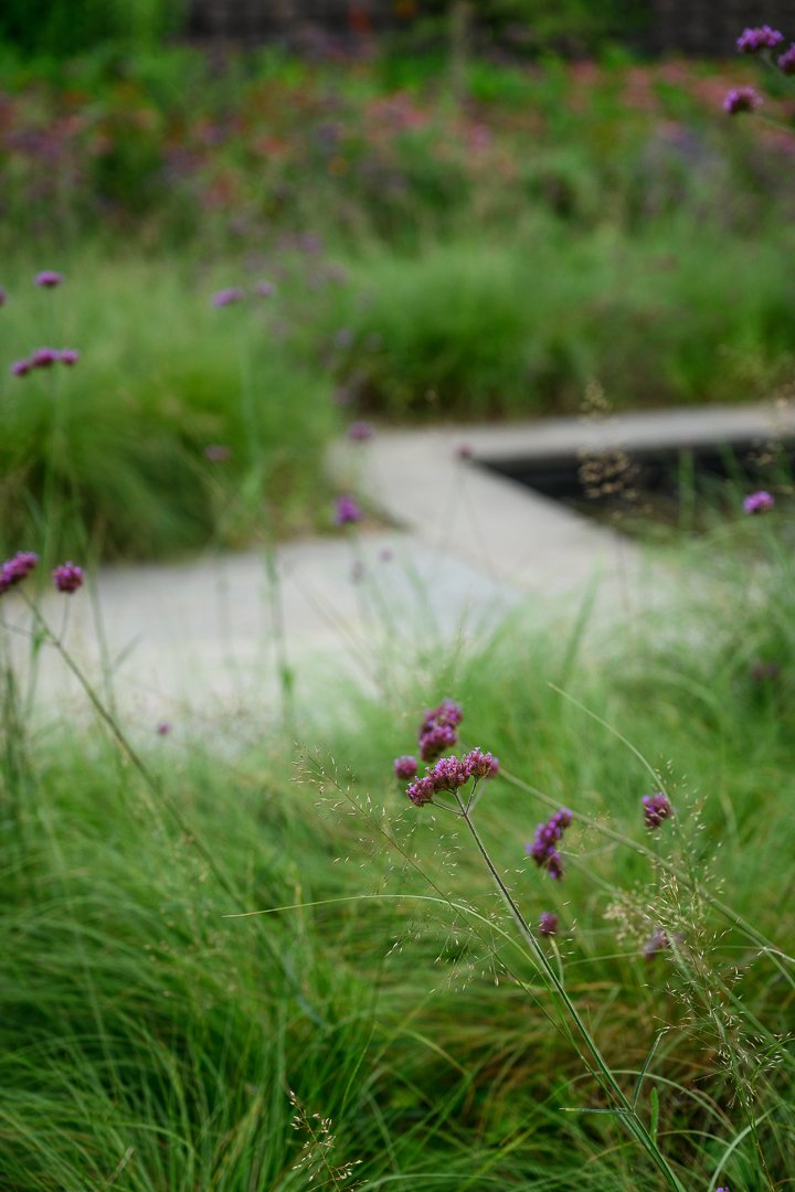 Stacy Smith Evans - Brookside Gardens-3.jpg