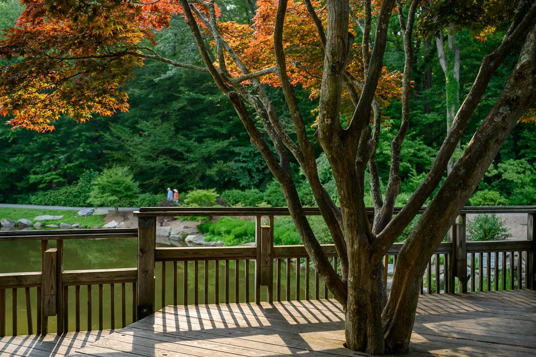 Stacy Smith Evans - Brookside Gardens-8.jpg