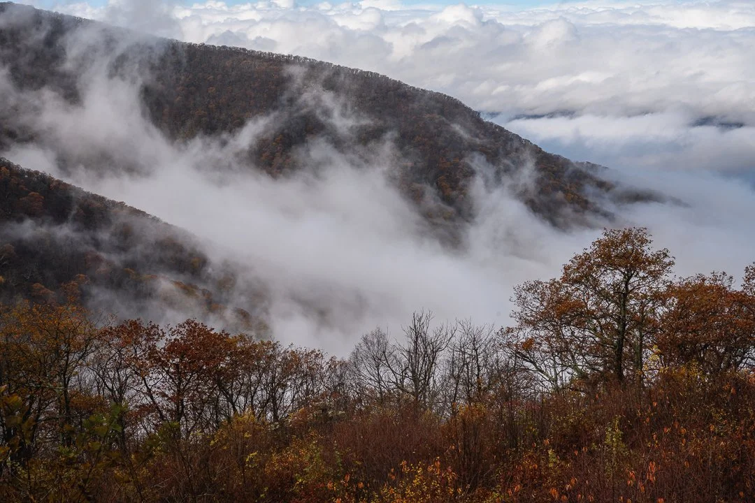 Mountains with fog and autumn-colored trees in the foreground.