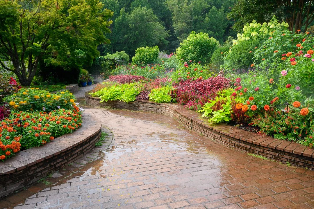 Stacy Smith Evans - Brookside Gardens-9.jpg