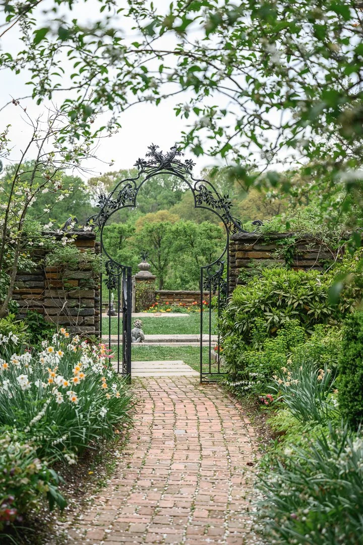 Stacy Smith Evans - Dumbarton Oaks-6.jpg