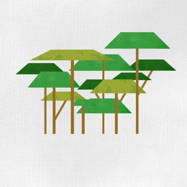 Deforestation.gif