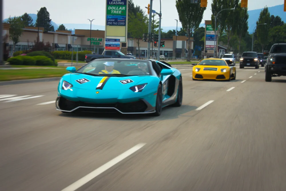 Bulls+(1+of+1).jpg