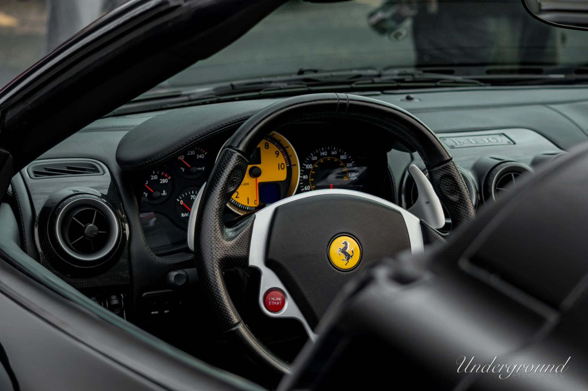 DSC_6396.jpg