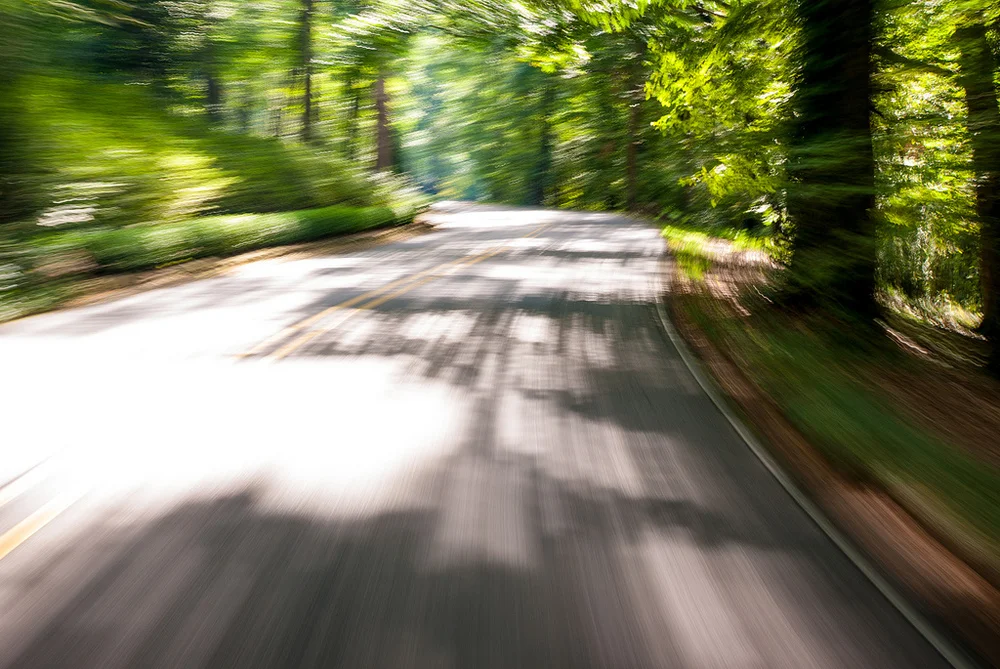 windingroadinthewoods.jpg