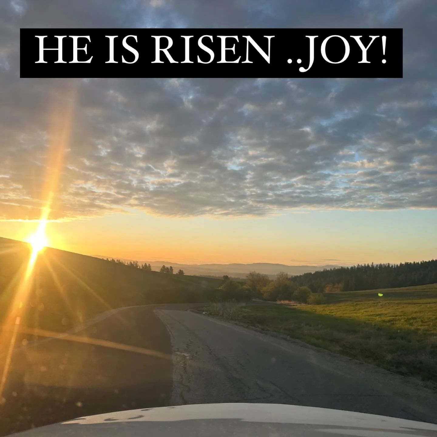 &ldquo;O death, where is your victory? O death, where is your sting?&rdquo; 1 Corinthians 15:55

This changes everything. Forever. Joy indeed!