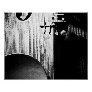 20x16_violin_poster_b_w-rab84e20b9e00471680e1b3ae16a759f4_zxf_8byvr_324.jpg