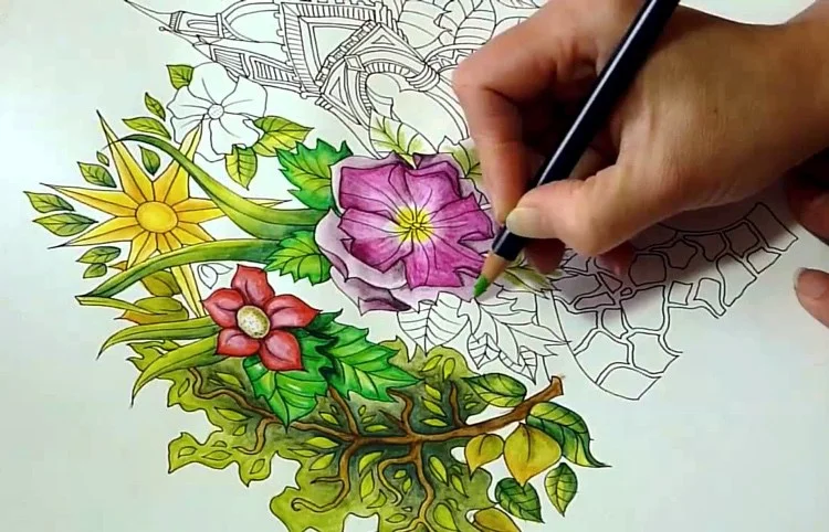 ColoringCatskills pic1.jpg