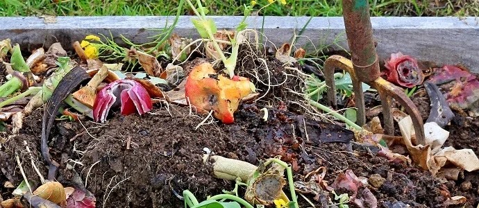 Composting.jpg