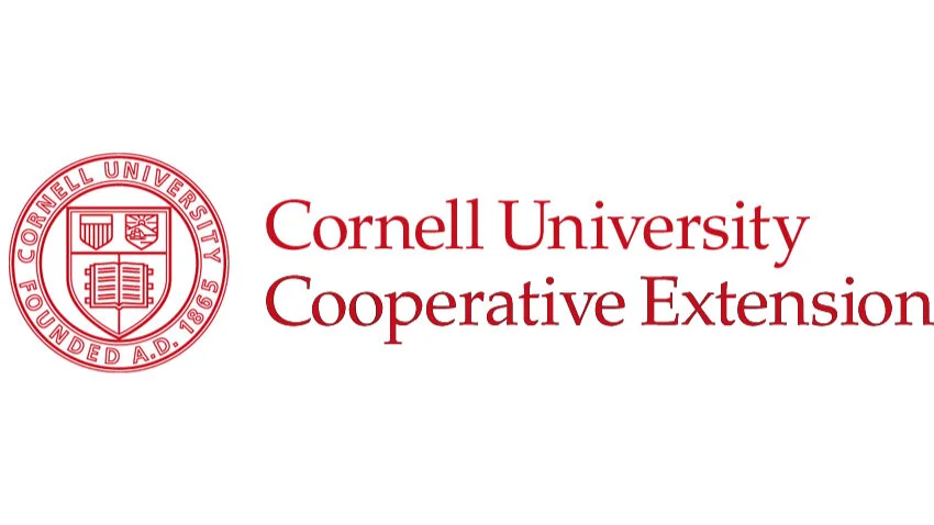 CCE+Logo.jpg