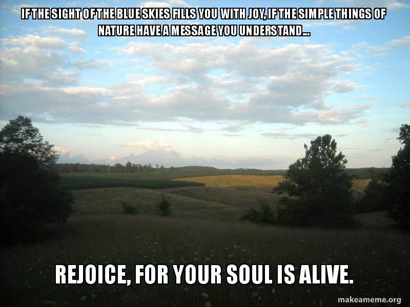 ReJoiceForYourSoul.jpg
