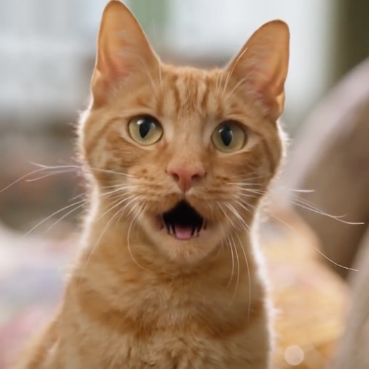 Screen Shot 2018-07-21 at 3.07.42 PM.png