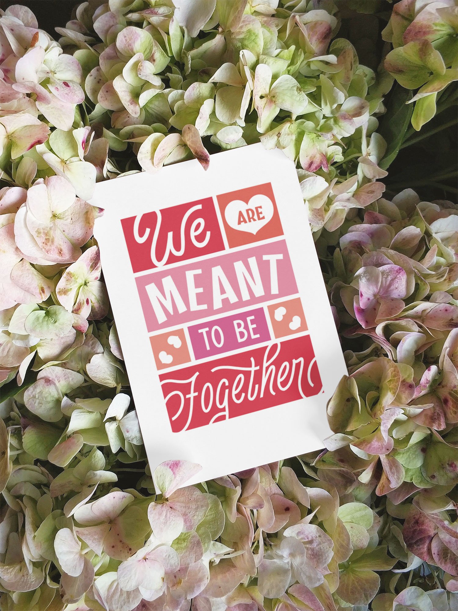 Valentine's Day Cards