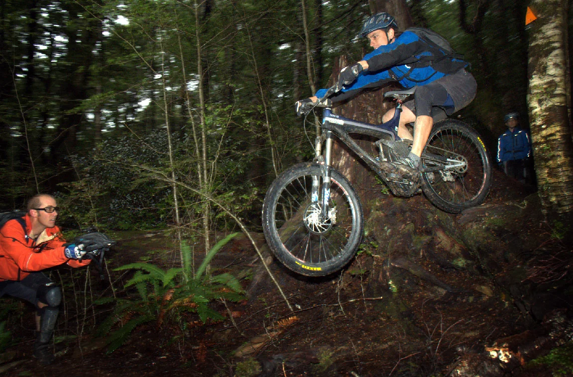 tree gap waka rob back ground.jpg