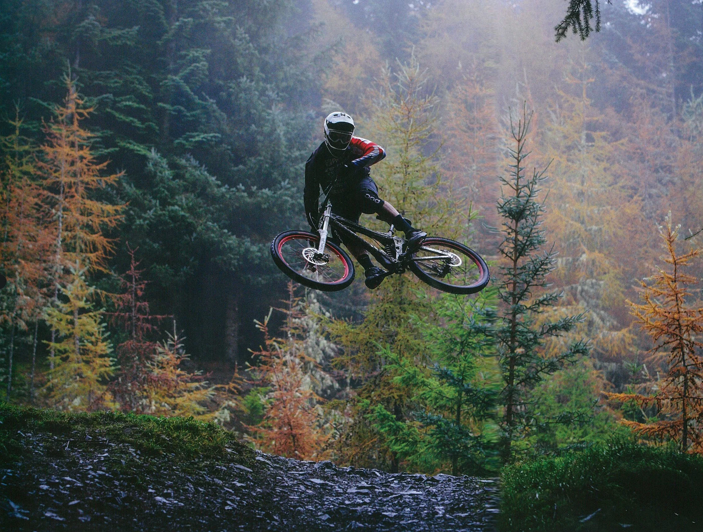 DIRT Zerode CROP.jpg