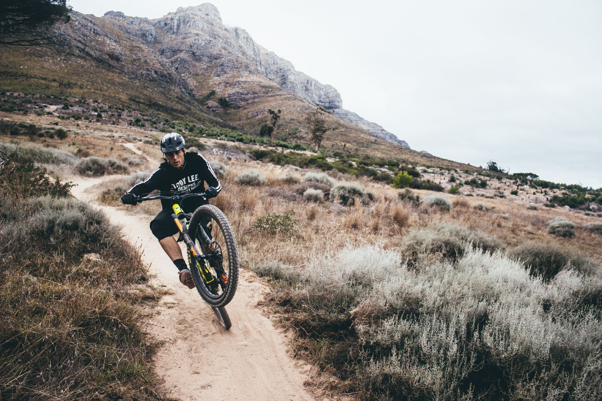 zerode OG-7_preview.jpeg