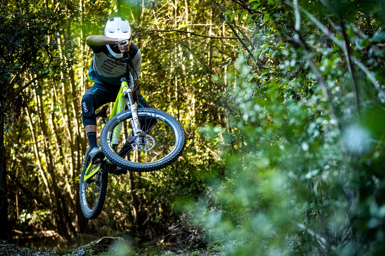 Photo Sven Martin
