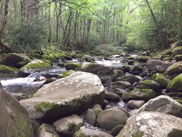 Suddenly Now: Down There By The RIver