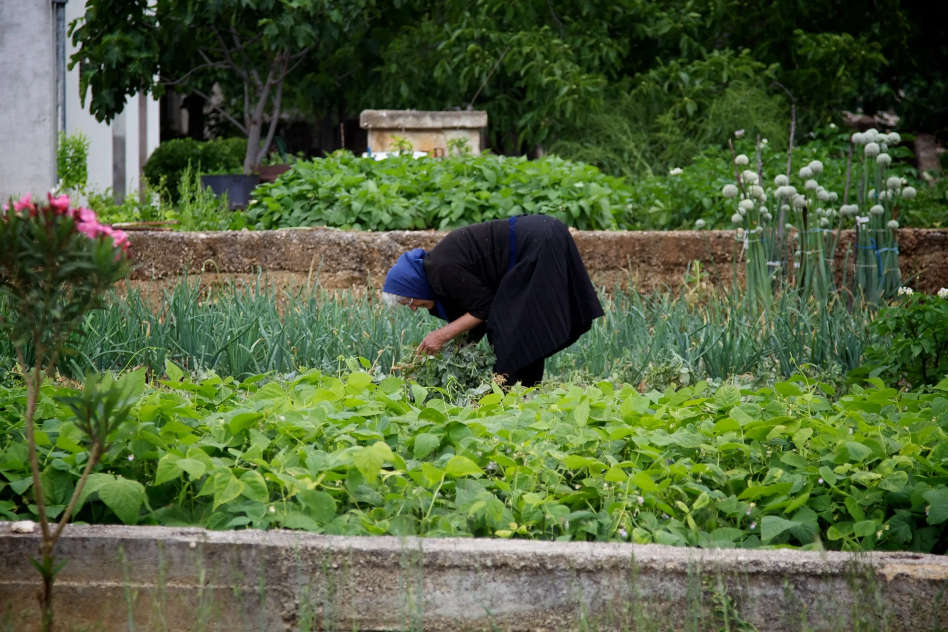 20130610sab296.jpg