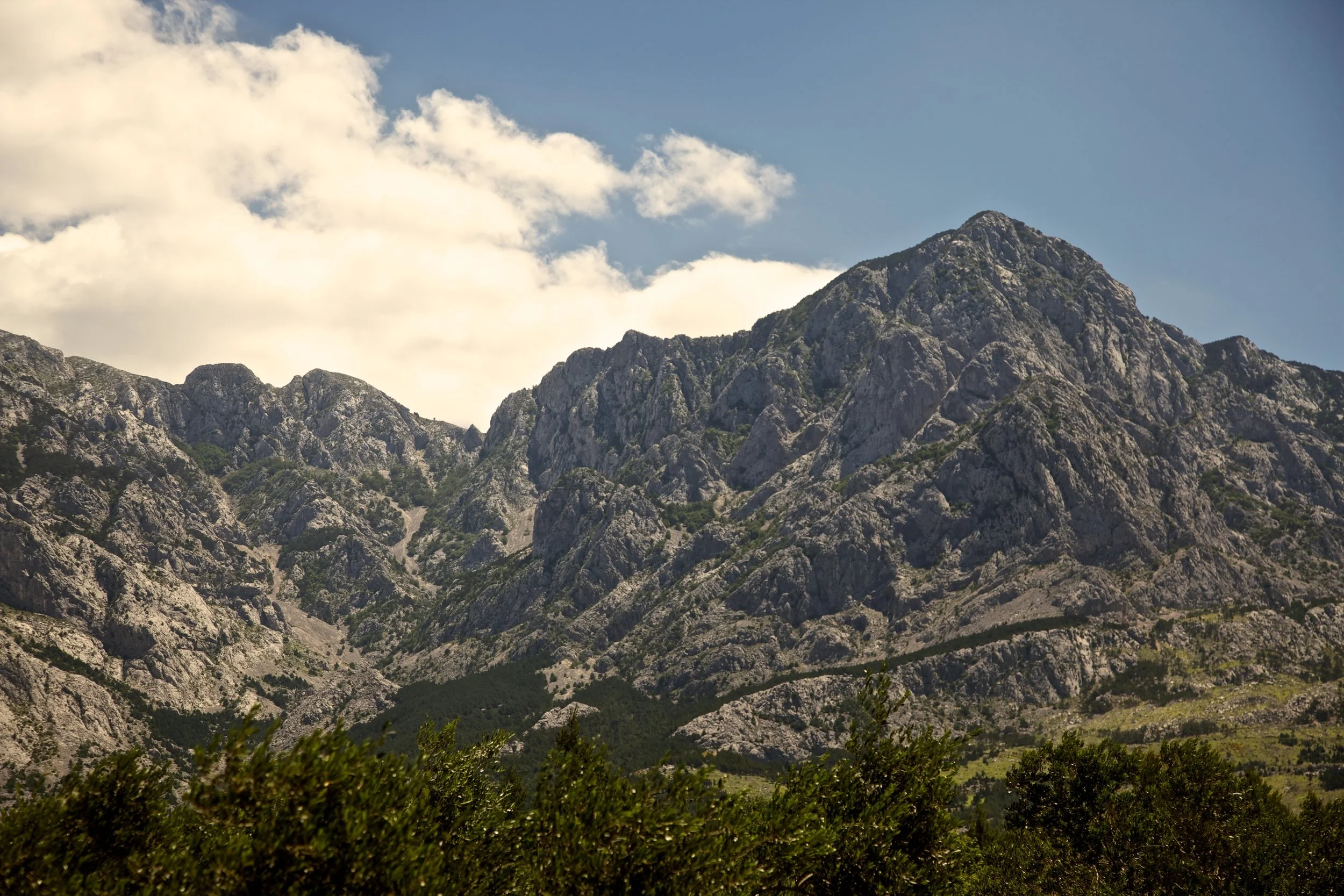 20130613sab552.jpg