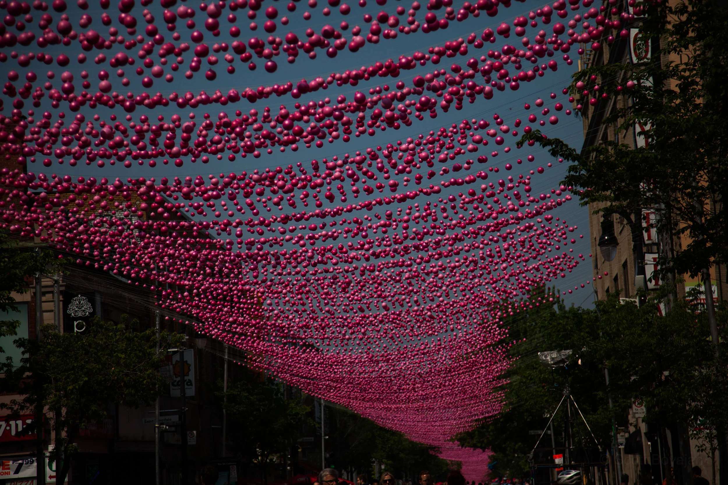 20120529sab79.jpg