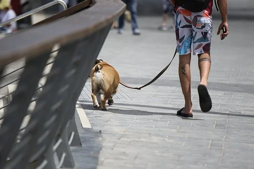 Man walking dog.jpg