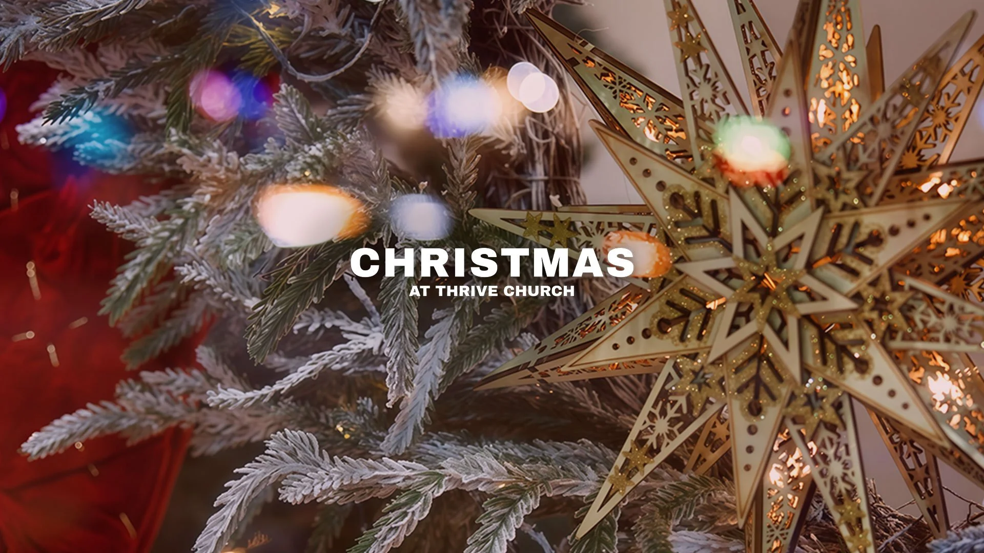 2025-Christmas-Graphic-4.jpg