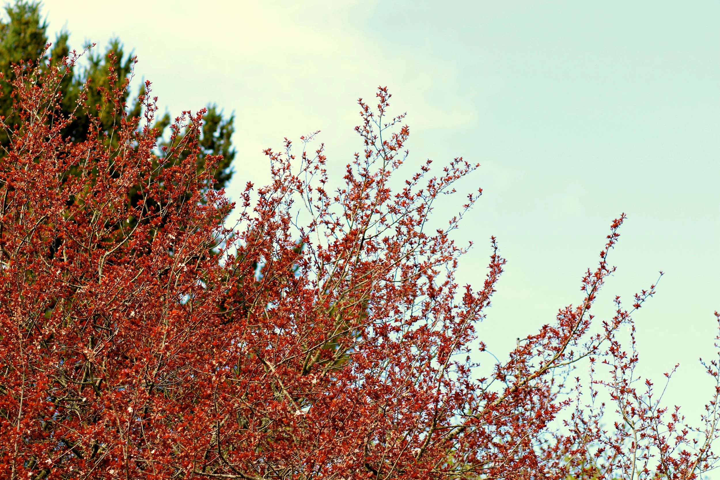 The Secret to Creating Change in Your Life