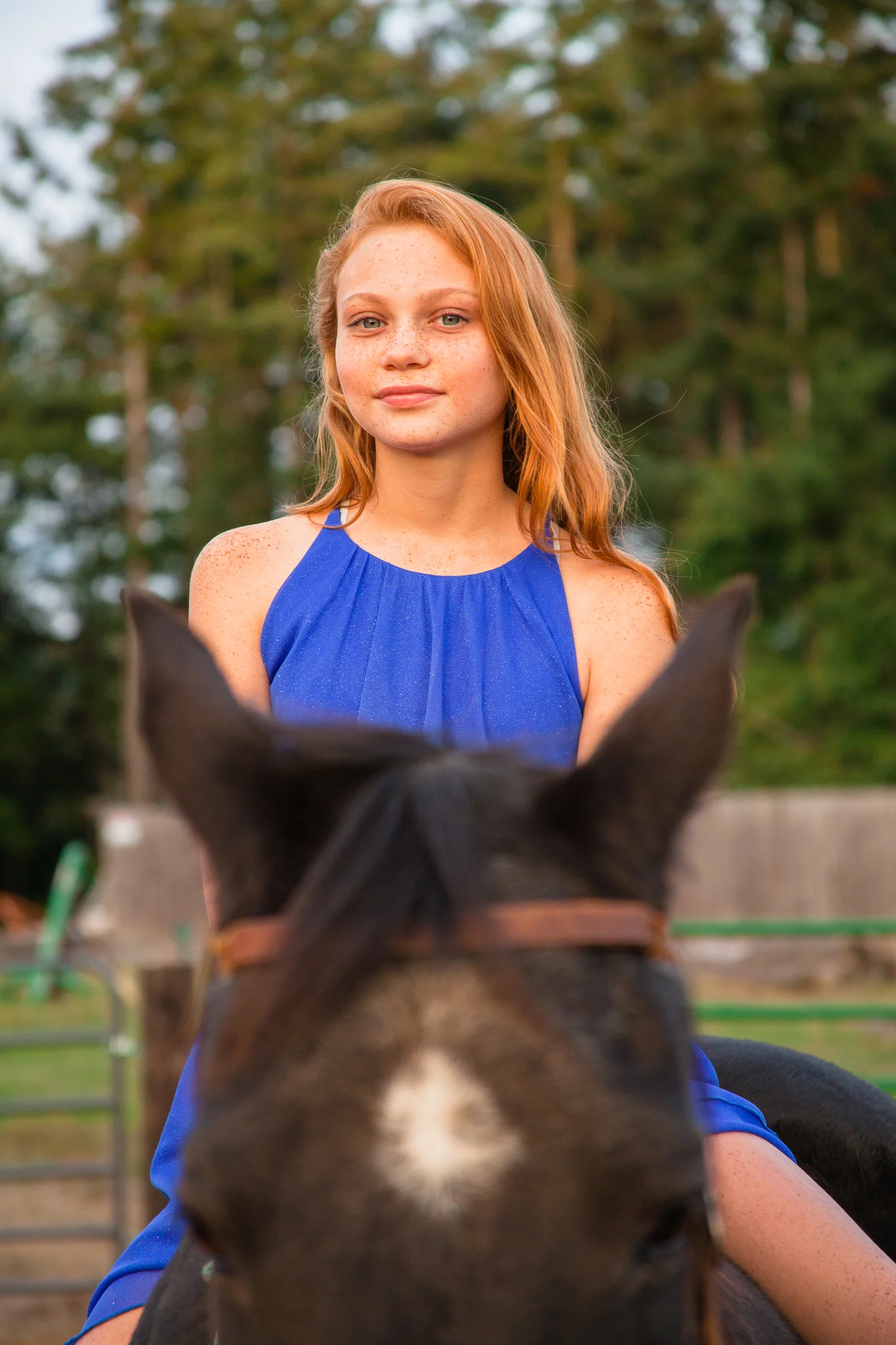 _MG_4241.jpg
