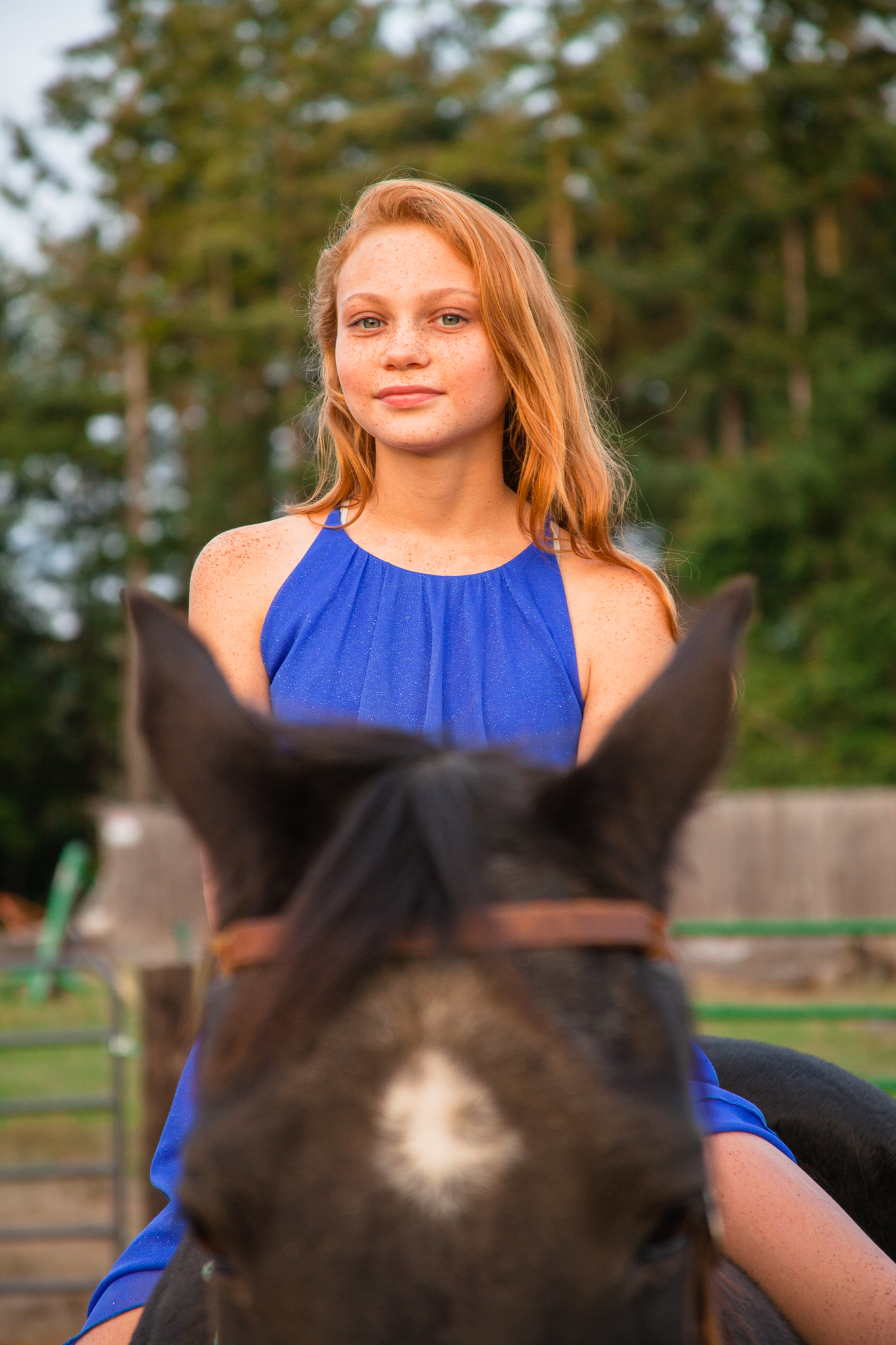 _MG_4241.jpg