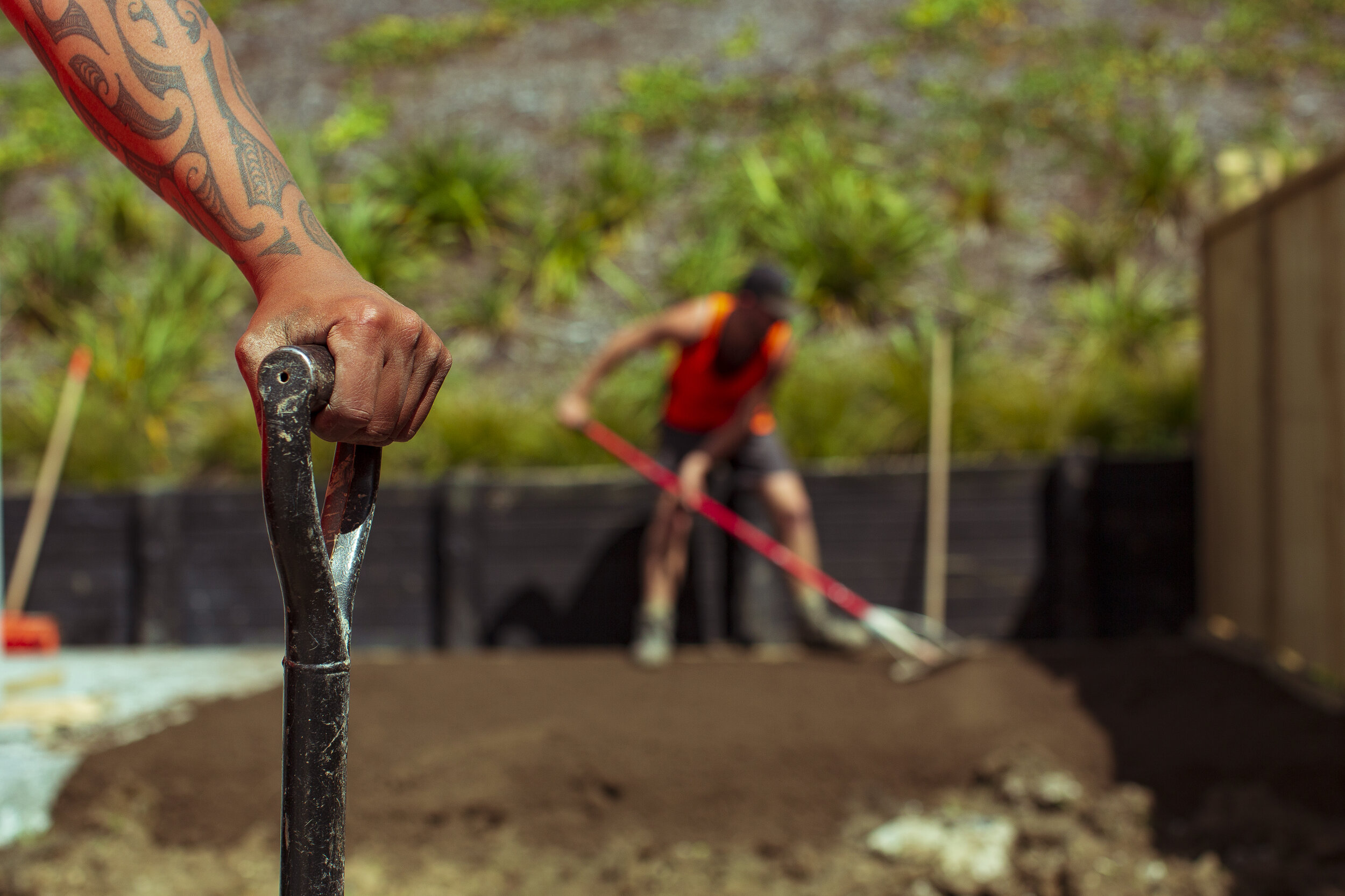 2019-09-17 11.39.54.jpg