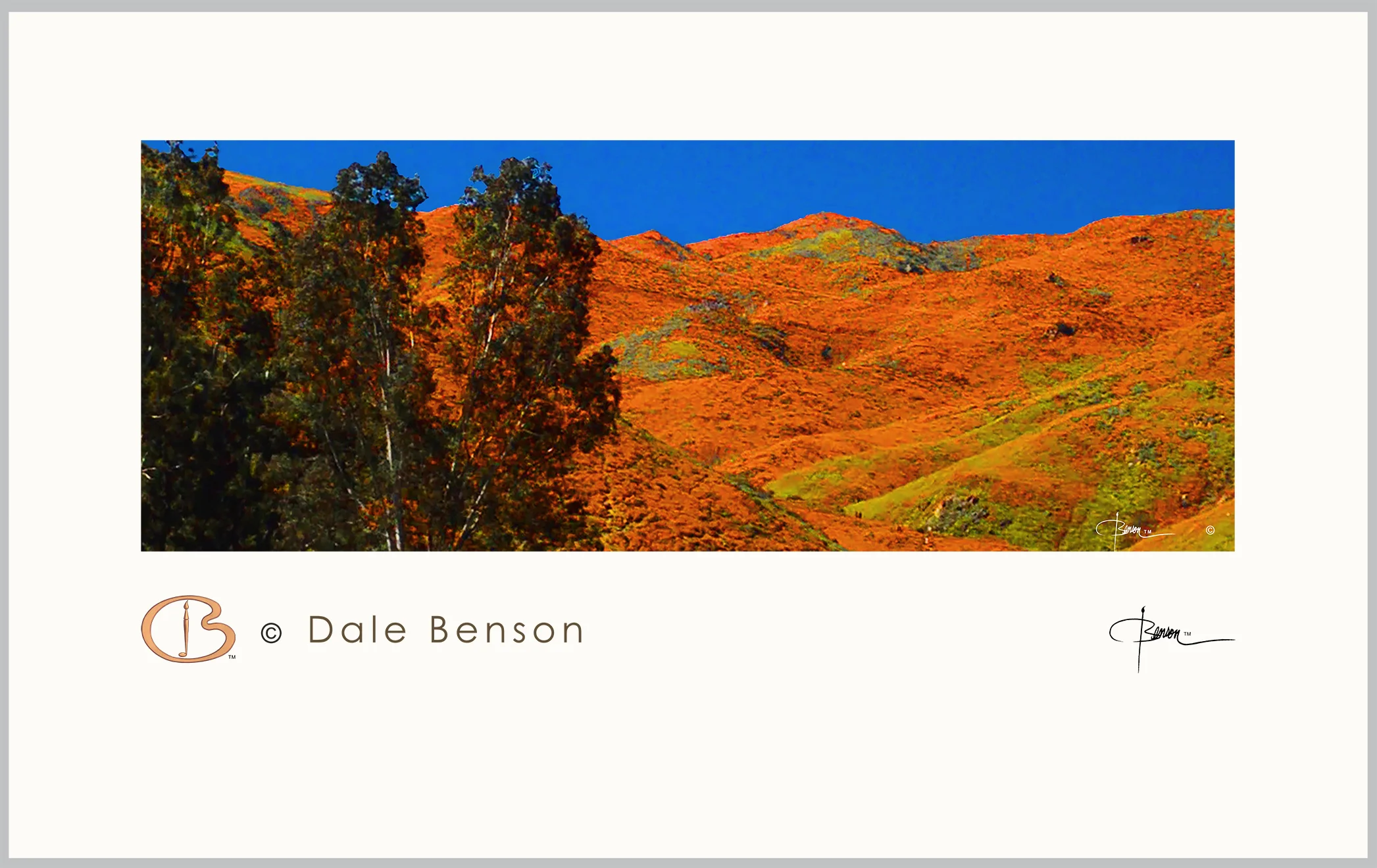 Dale Steven Benson , Creative Originator, sent in this beautiful photograph of the breathtaking poppy fields in Lake Elsinore, California. It is such a great statement that Spring has arrived that it had to be included in this month’s blog. Thank you Dale Steven for sharing your amazing photo.