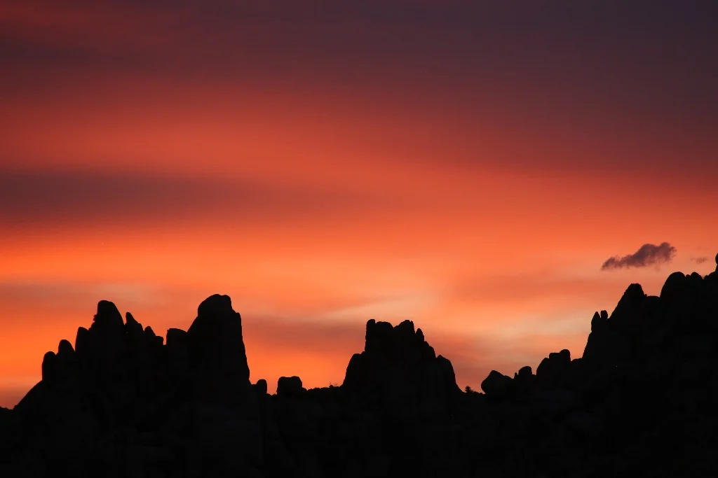 Indian Cove Campground, Joshua Tree National Park, CA, Brian Biery (c) 2019