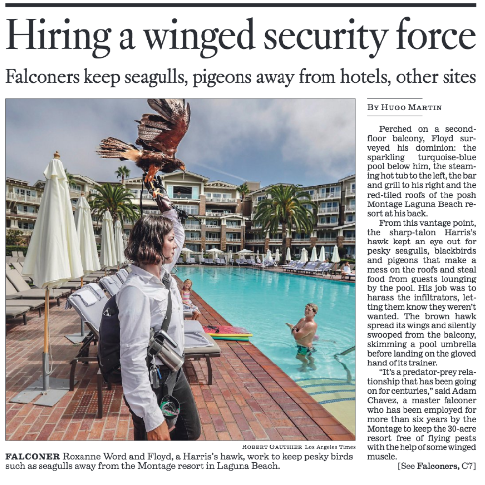 Screen Shot 2019-08-30 at 5.11.46 PM.png