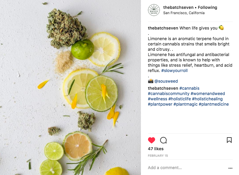 Screen Shot 2018-03-01 at 10.15.49 AM.png