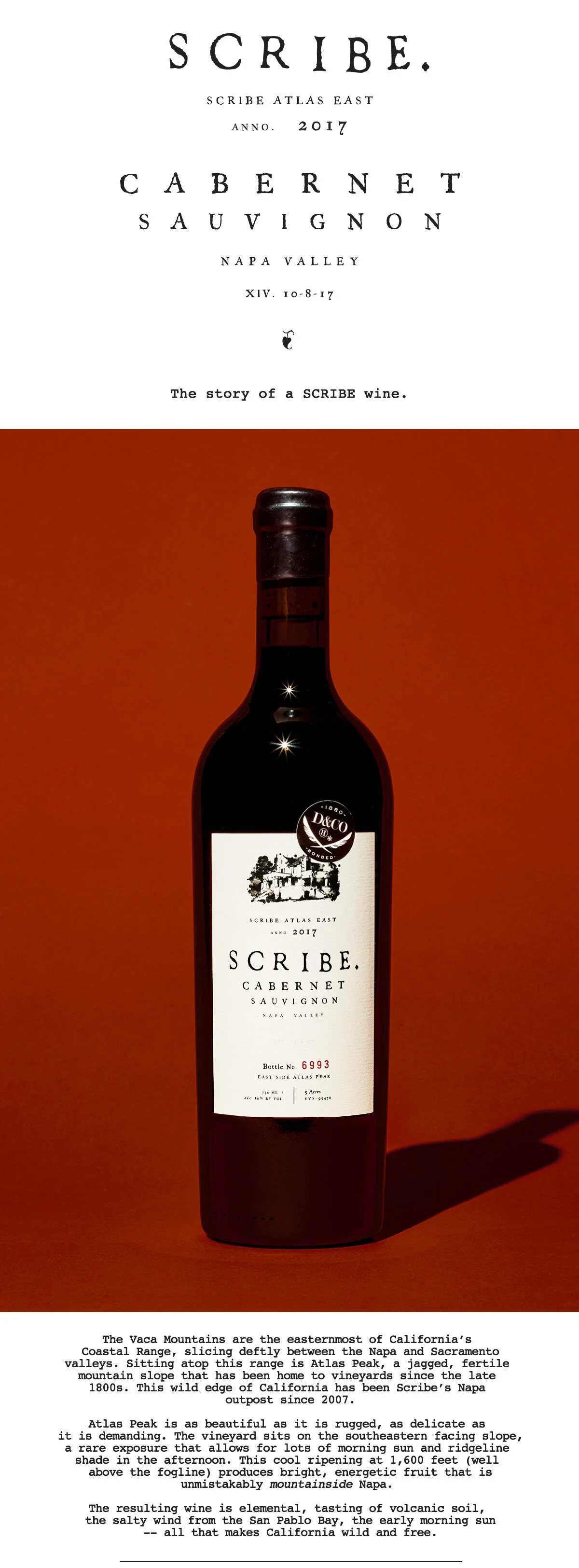 Scribe3.jpg