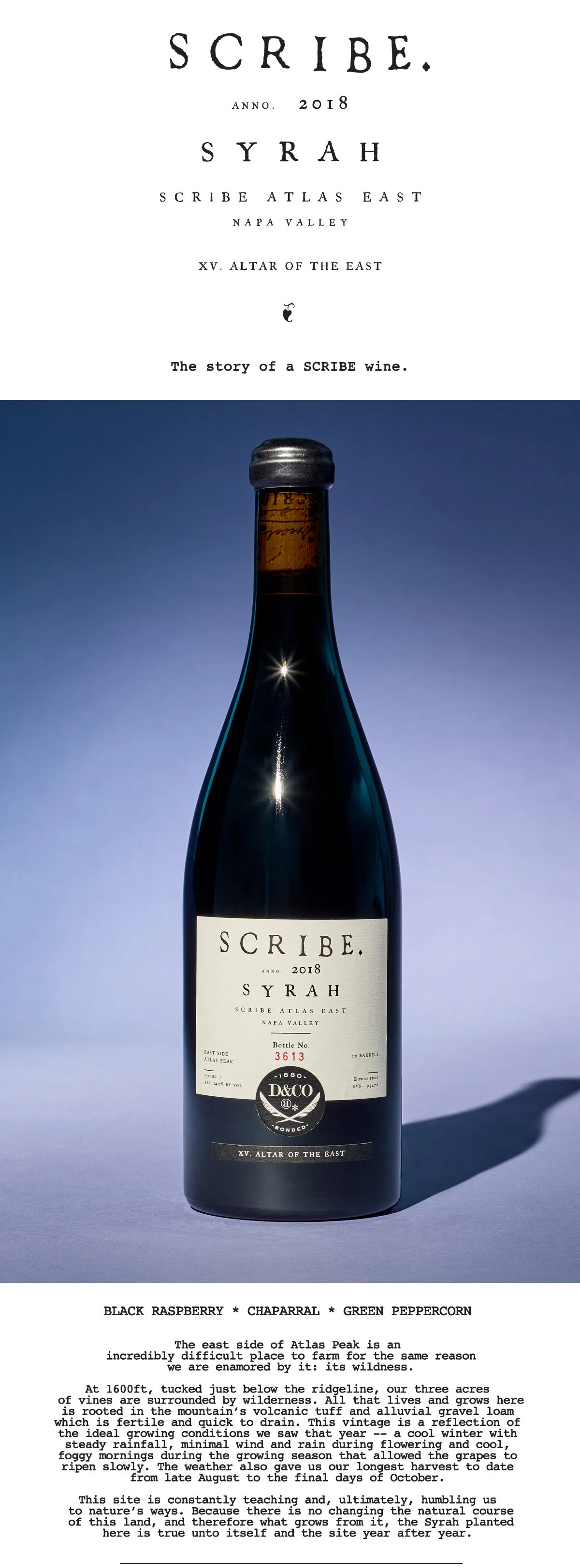 Scribe1.jpg