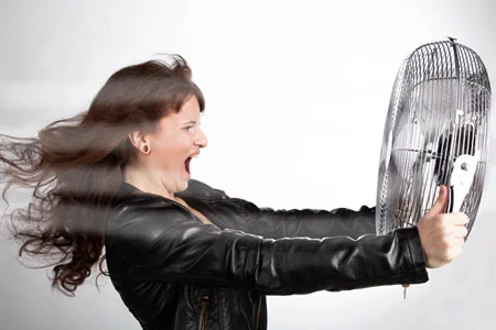 Just say “No” to Hot Flashes 
