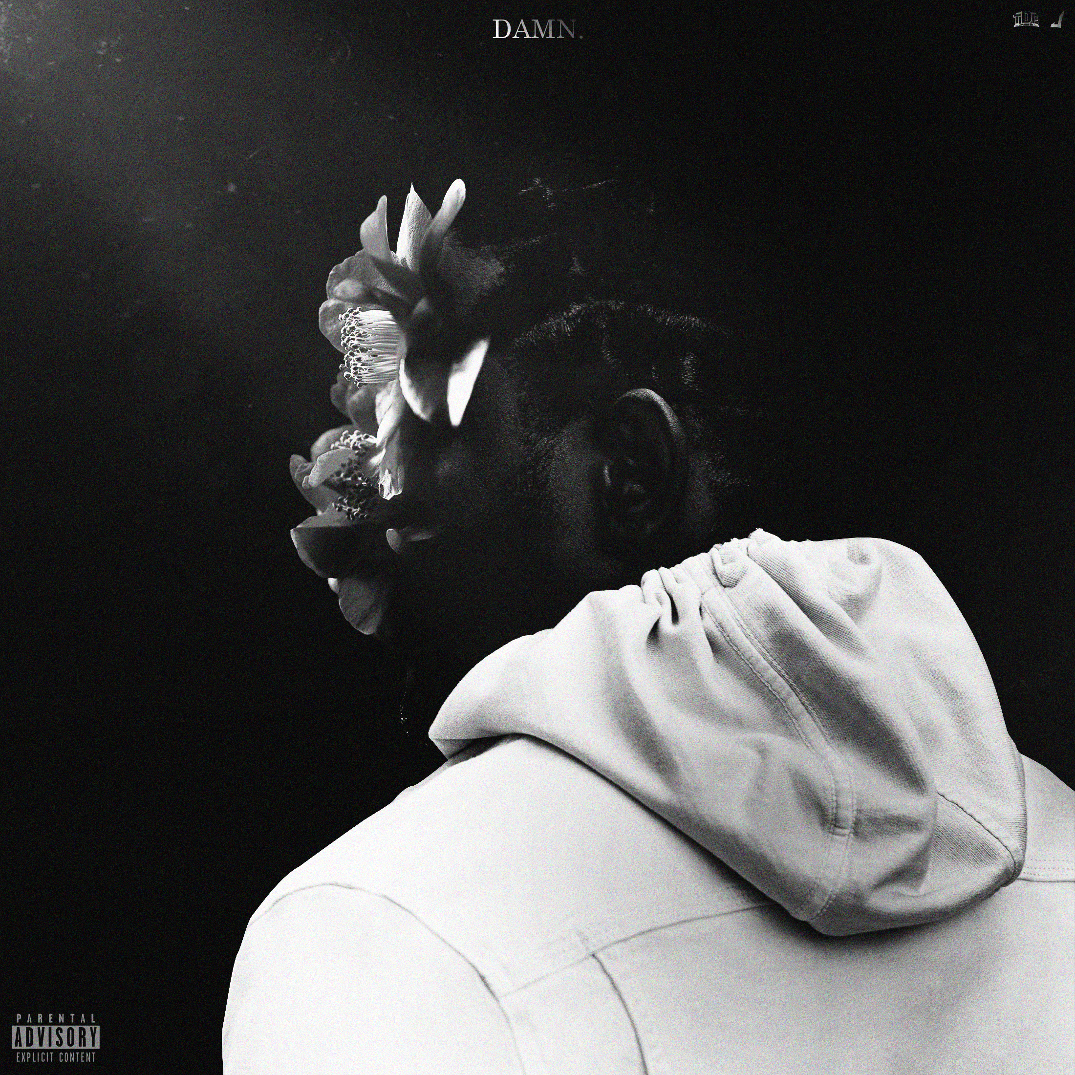 DAMN.-cover.png