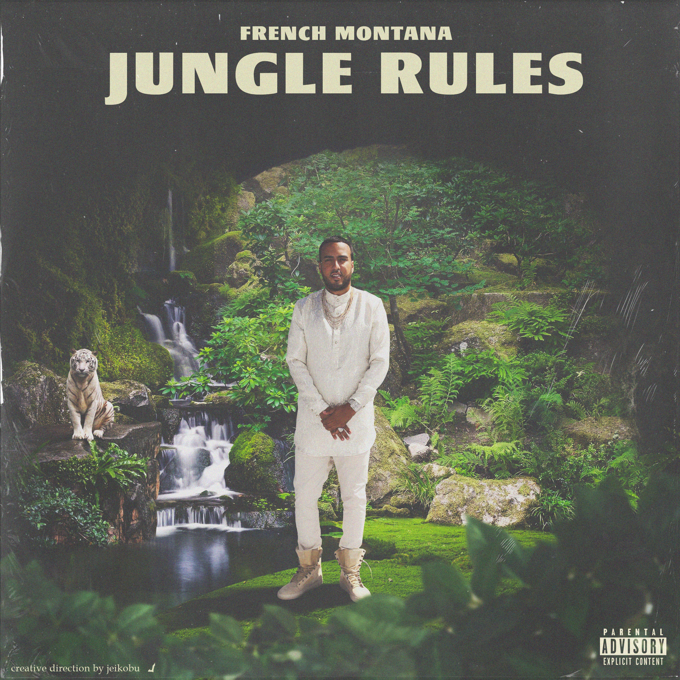 jungle-rules-concept-cover1.png