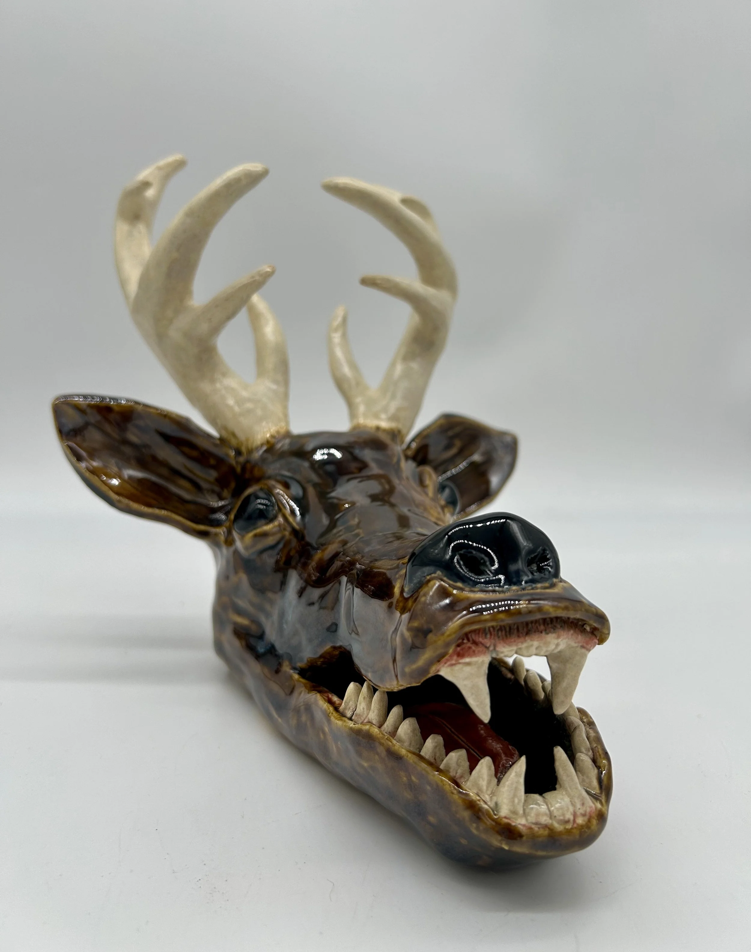 Final Project by Ayva Lopez, gr11