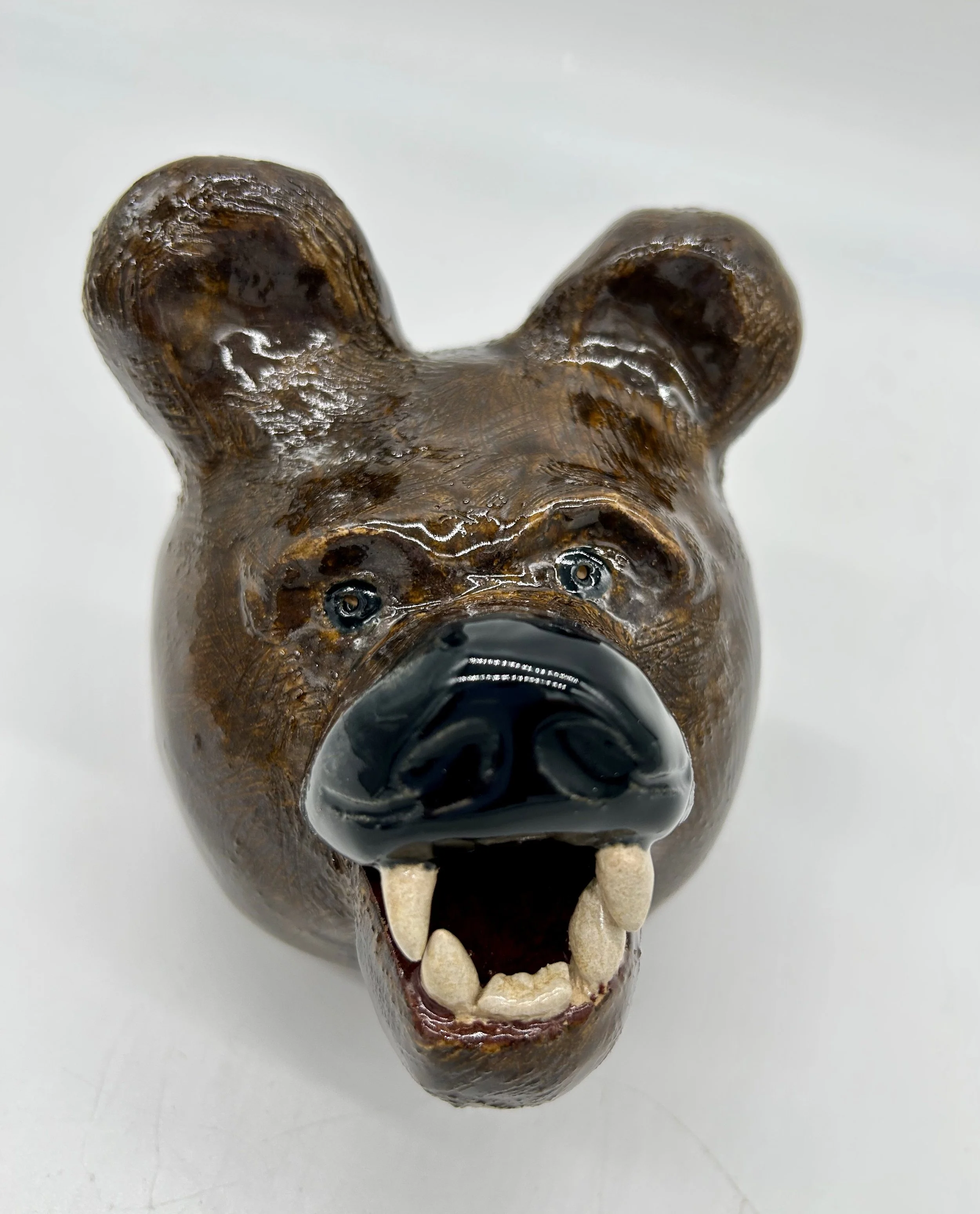 Final Project by Steven Tortora, gr11