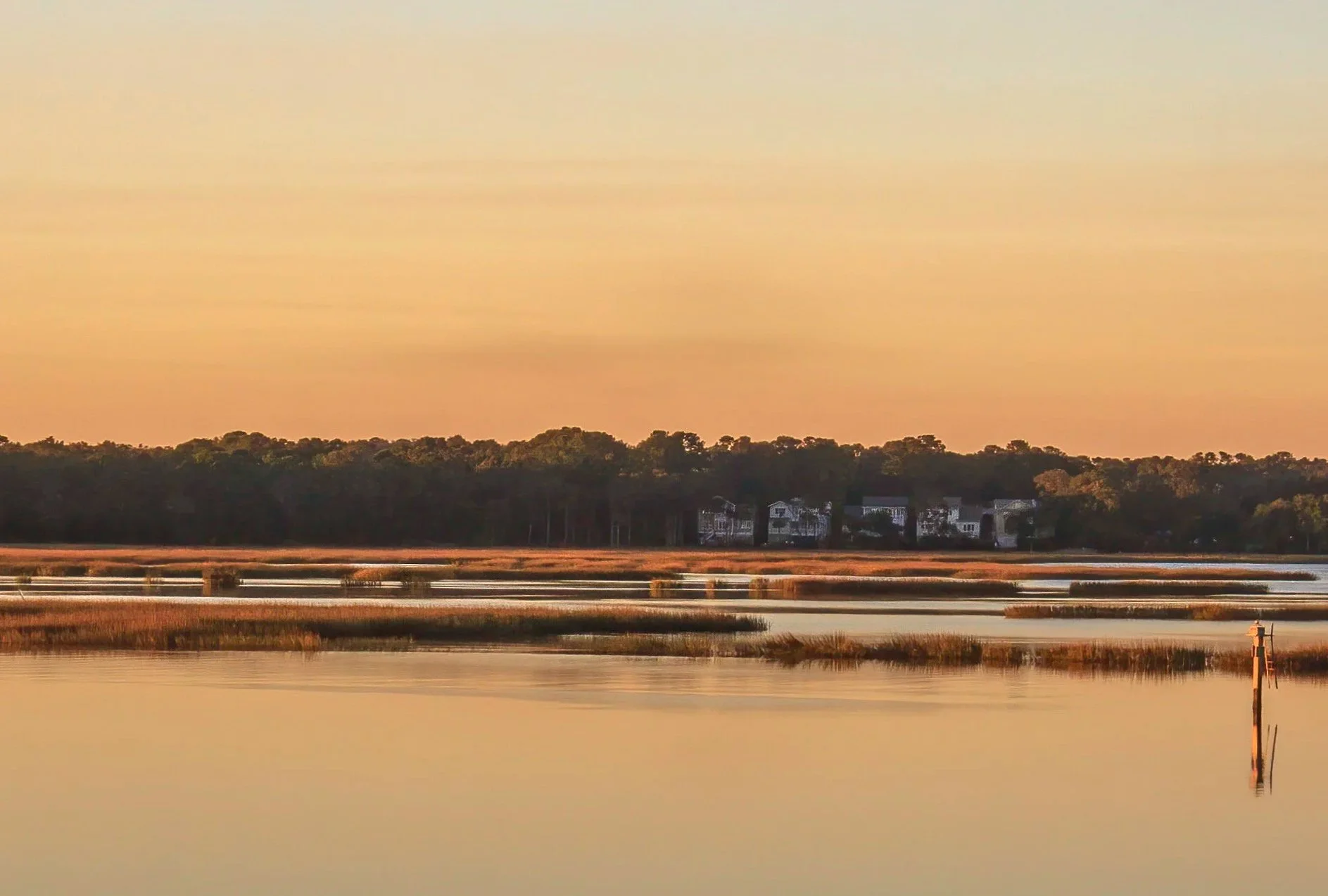 The Marsh at Sunrise
