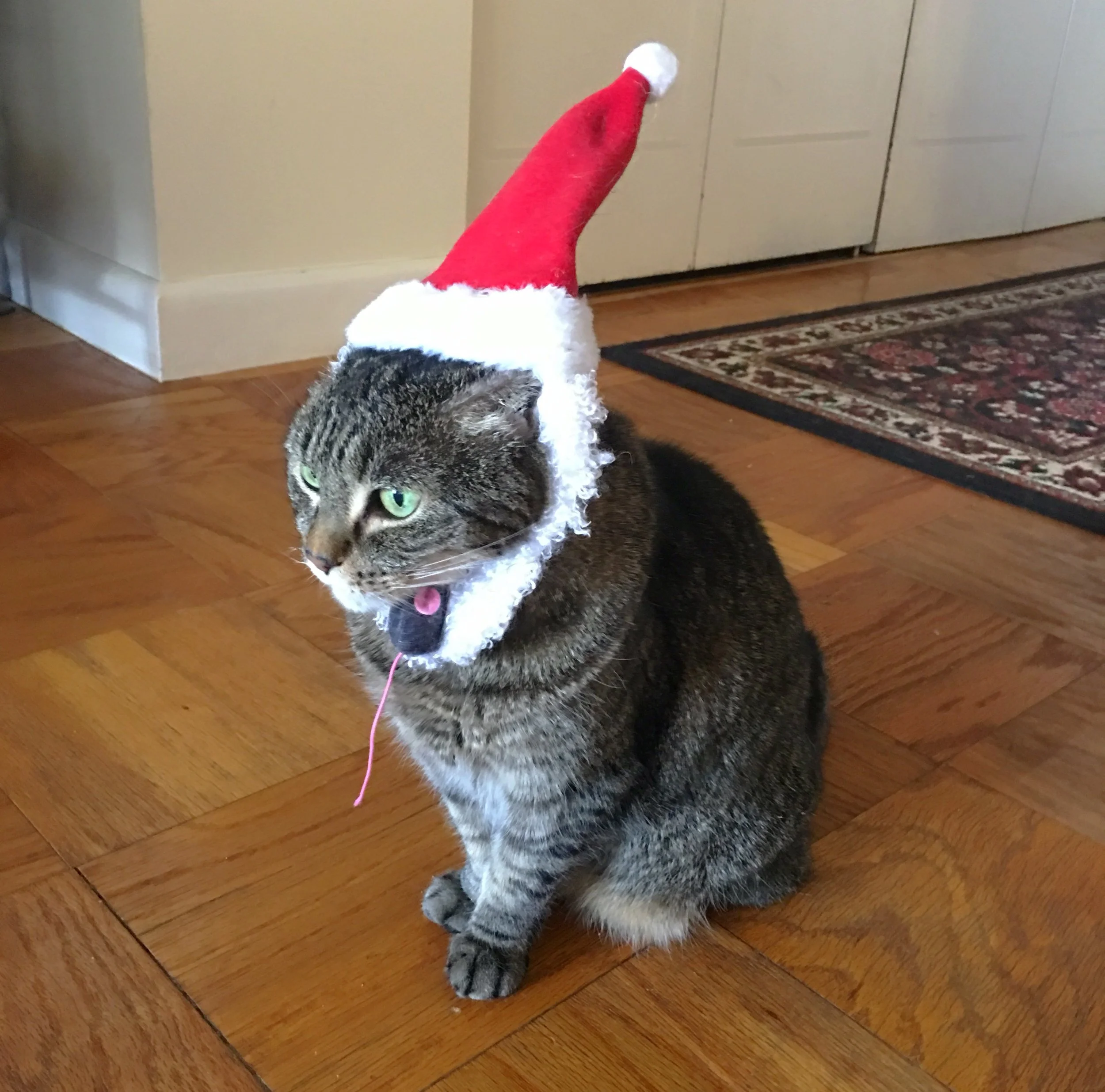 The next day! She practically asked us to put it on her by getting it from her toy bin. See? She doesn’t completely hate it! 🤗 