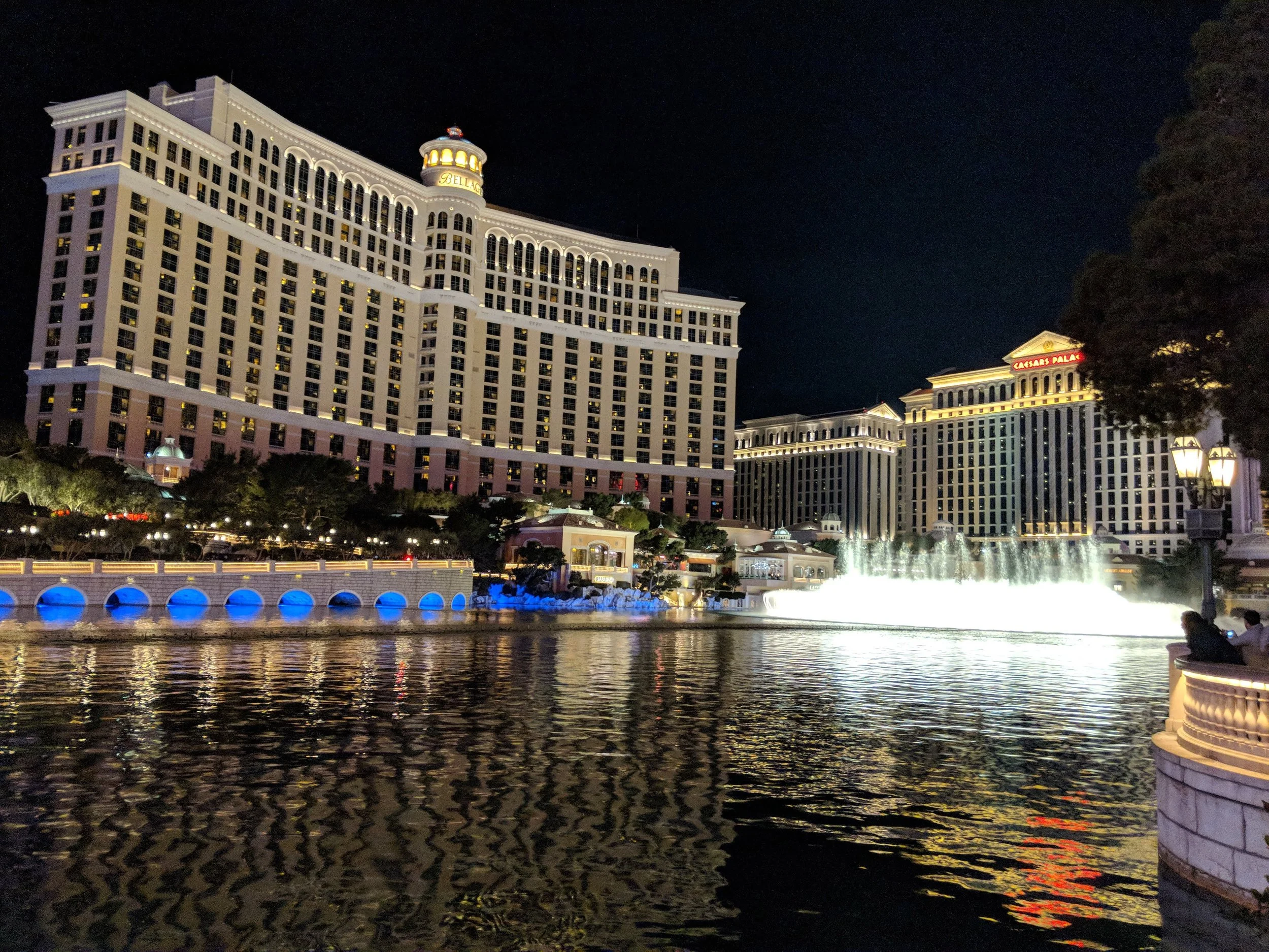 The Bellagio and its famous fountain display. Choreographed to music, no less!