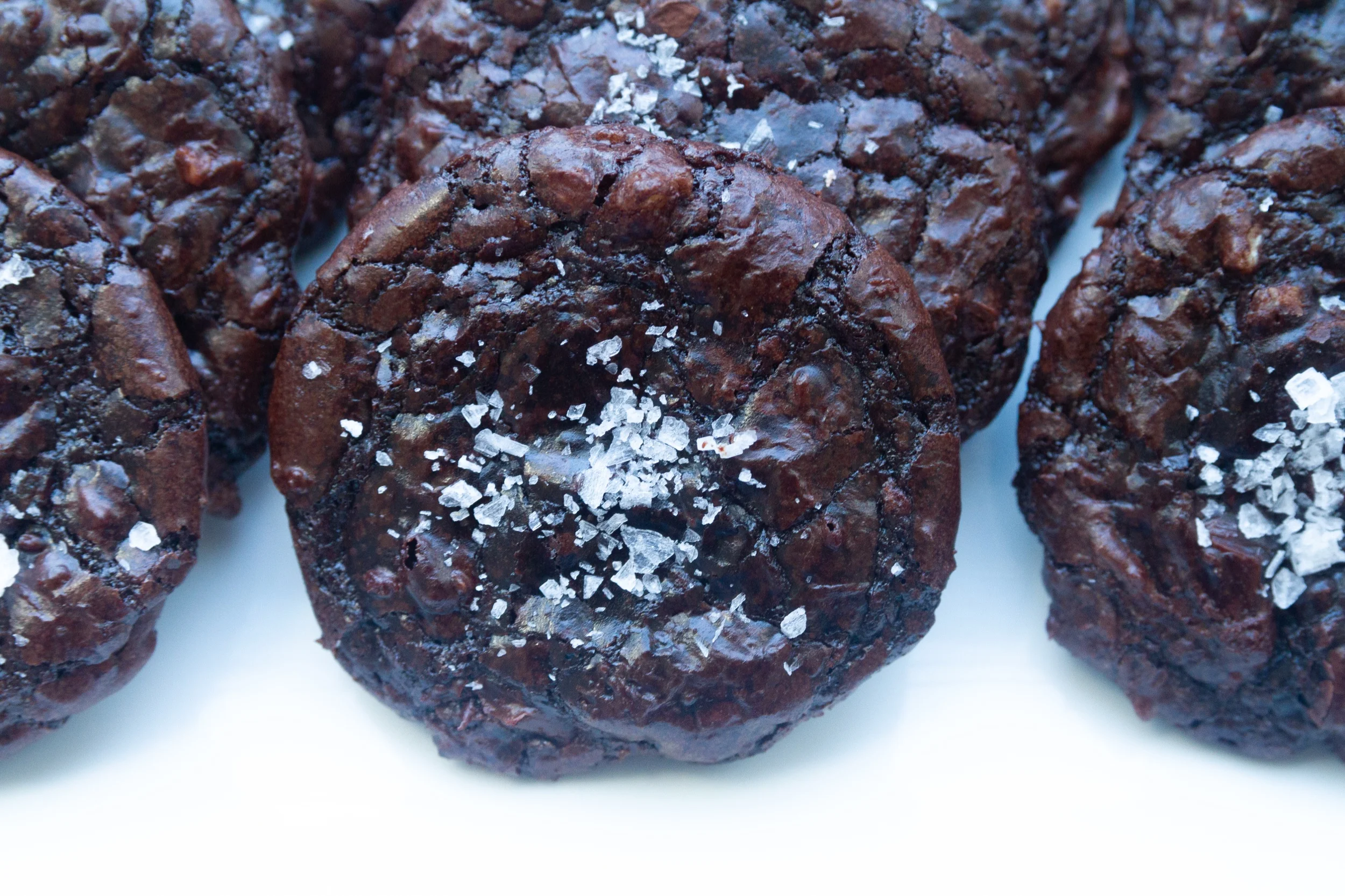 Mollie Bakes: Mini Chocolate Cookies