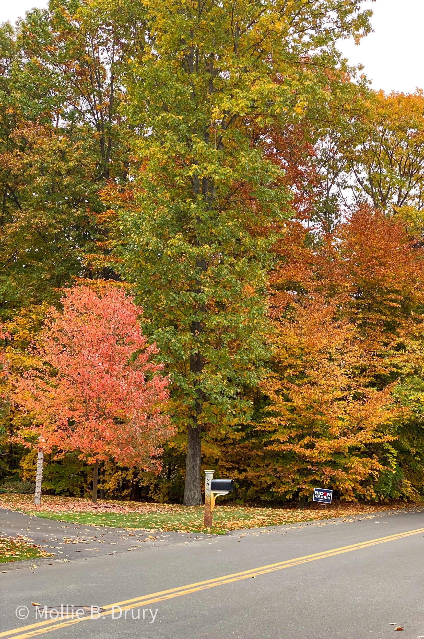 Flavor Buffet: 10/30/2020