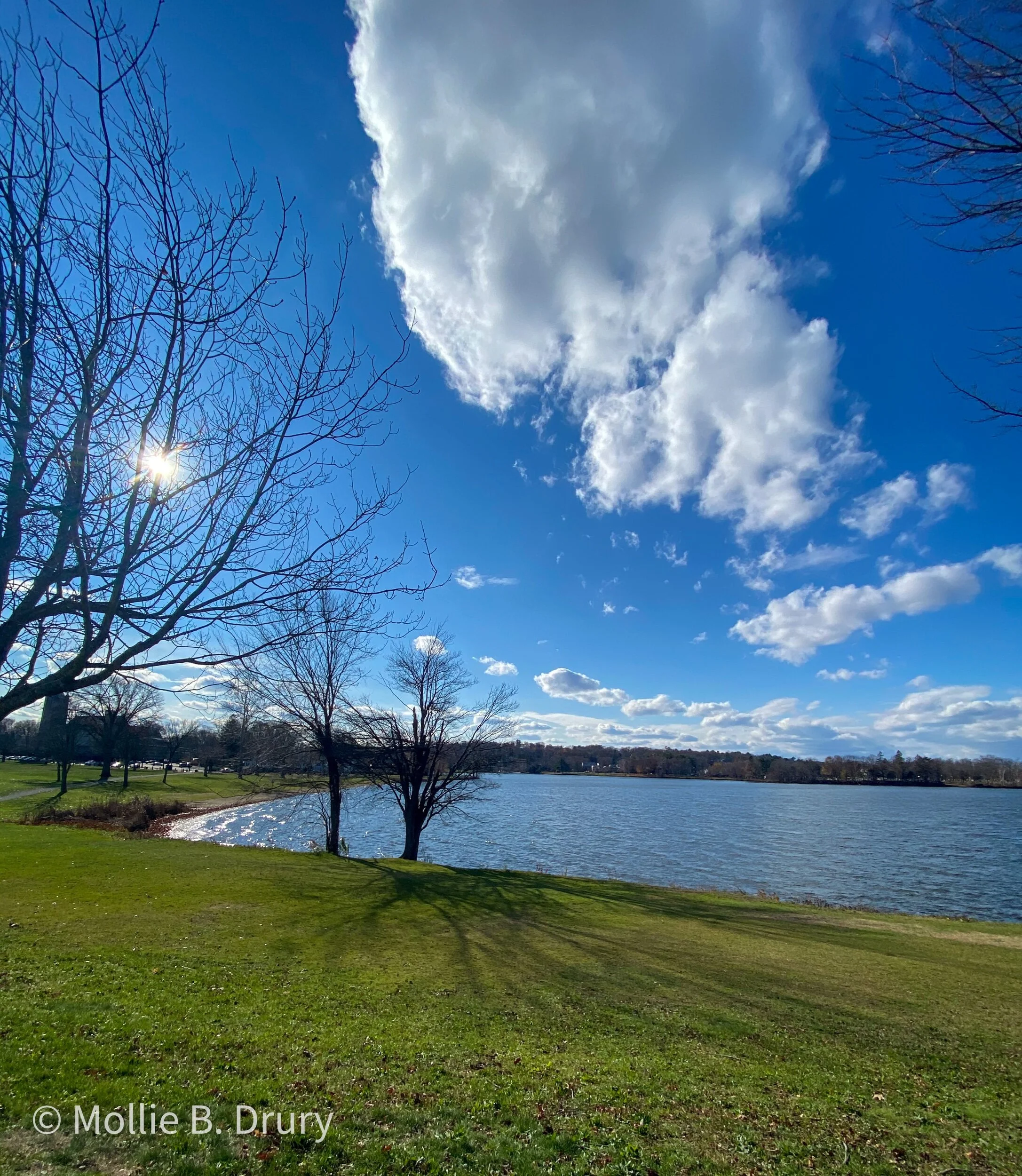 Flavor Buffet: 11/20/2020