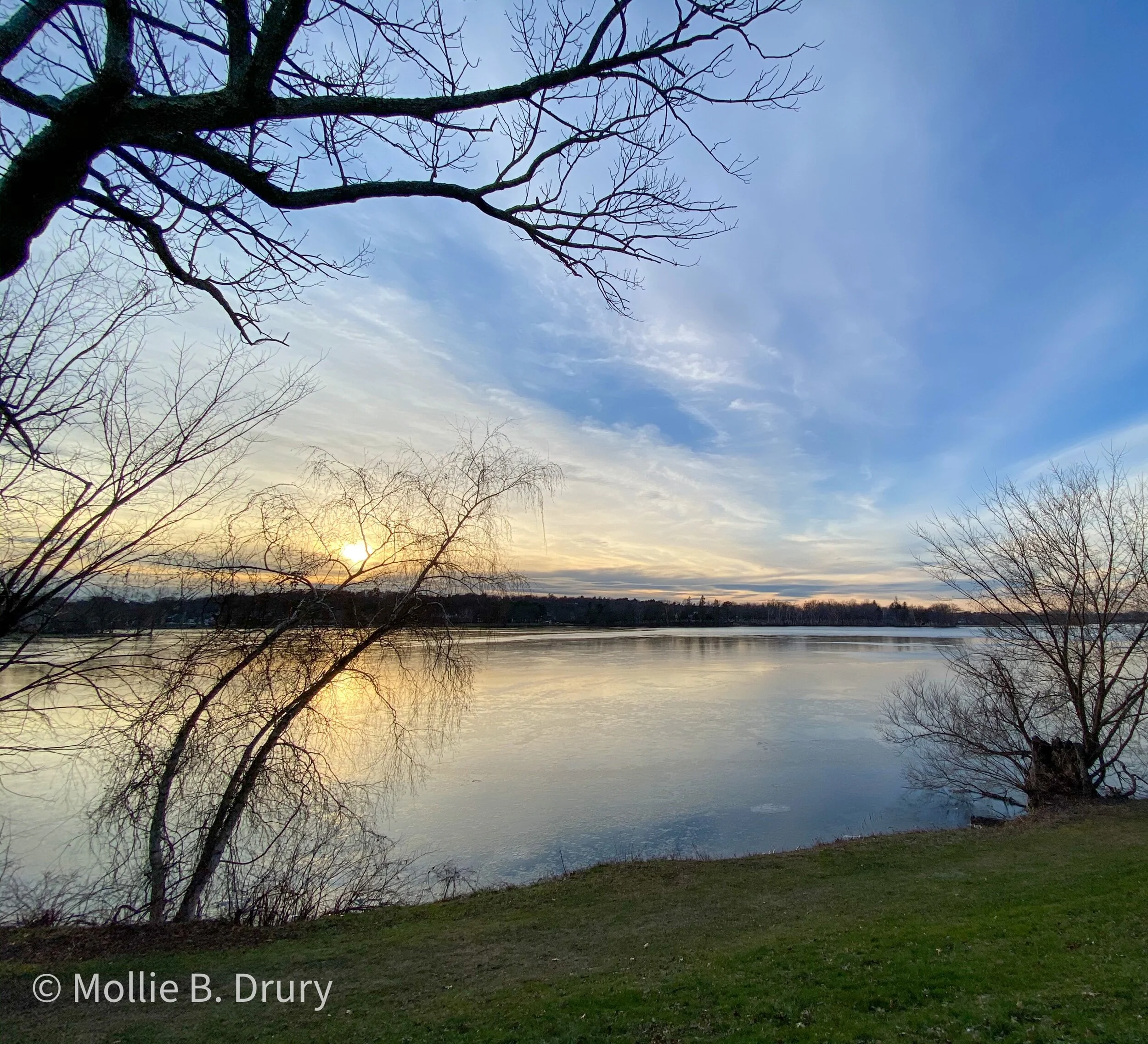 Reflections on 2020: The Year We...