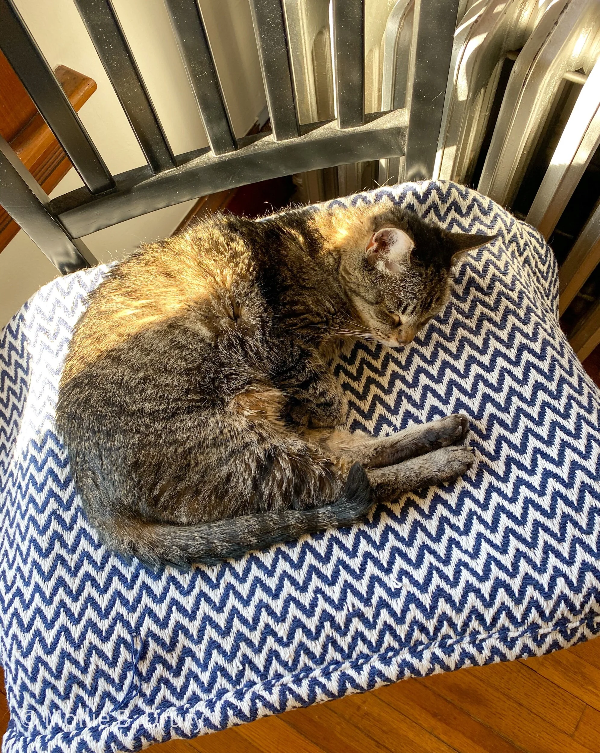 Flavor Buffet: 1/29/2021